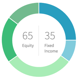 65% equity 35% fixed income