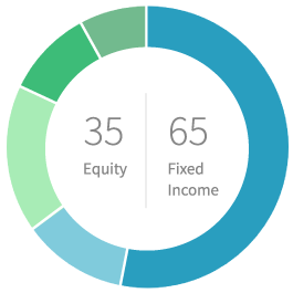 35% equity 65% fixed income